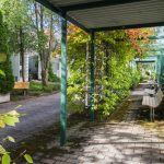 Karusellikuva
