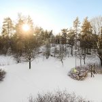 Karusellikuva