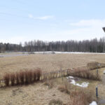 Karusellikuva