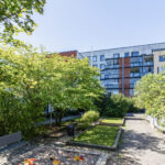 Karusellikuva