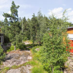 Karusellikuva