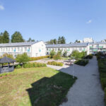 Karusellikuva
