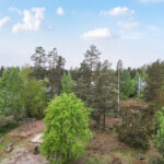 Karusellikuva