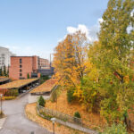 Karusellikuva
