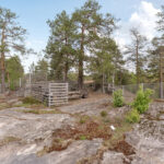 Karusellikuva