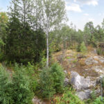 Karusellikuva