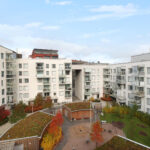Karusellikuva