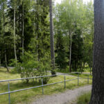 Karusellikuva